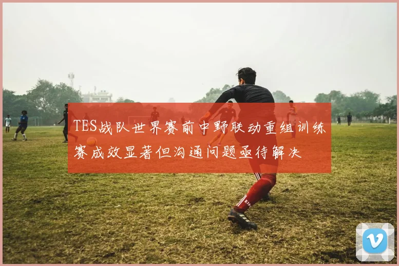 TES战队世界赛前中野联动重组训练赛成效显著但沟通问题亟待解决